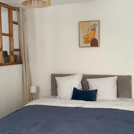 公寓 Le Cocon Des Pipots Plein Centre Calme 滨海布洛涅